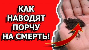 Как наводят порчу на смерть кладбищенской землей