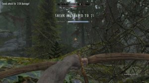 Skyrim: Running a Kettle Business