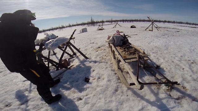 Тазовская тундра