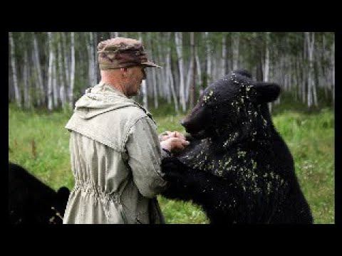 Суд опять принял решение об изъятии медведей смотреть онлайн