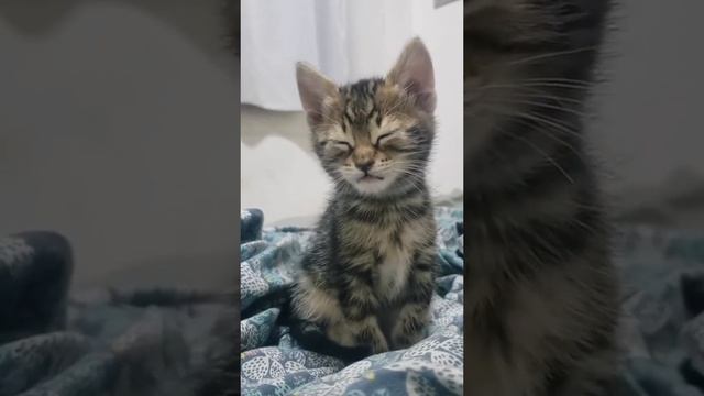 1000002071.mp4 смотреть онлайн