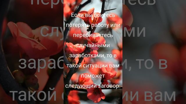 ДЕНЬГИ В КОШЕЛЬКЕ | Заговор чтобы деньги были | Тик Ток | Магия Жизни #shorts #short #topic