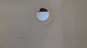 Как убрать неприятный запах из раковины на кухне? Воняет? Сборка, установка сифона Orio (Орио)