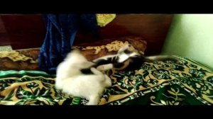 Я прошу тебя успокойся