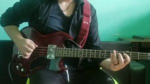 Paul McCartney  Letting Go (Bass cover)