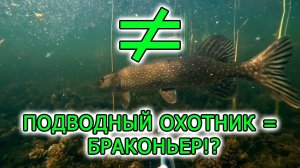 Интервью с подводными охотниками. Часть 5. Подводный охотник Браконьер???