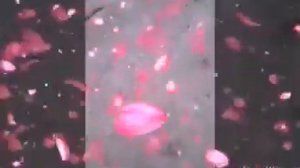 Антиреспект#Там,там никто никогда не спросит