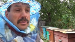 Как я стал Пасечником