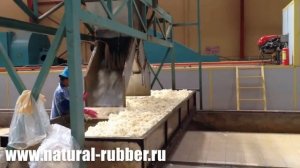 Производство: натуральный каучук SVR3L SVR5