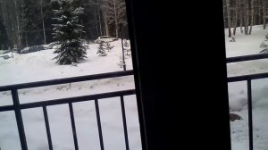 В санатории Серебряный плёс .