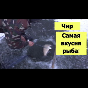 Ловим Чира на Таймыре.mp4