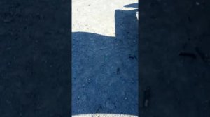 серенаголовый 3 часть