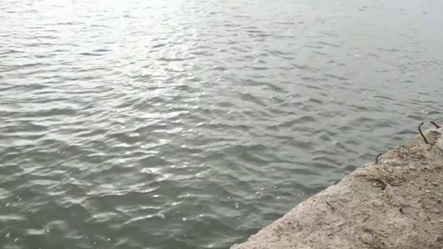 Судно Apache на реке Дунай смотреть онлайн