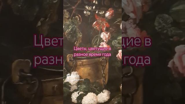 Цветочные натюрморты на выставке Ars vivendi | Любимая Россия #моипутешествия #питер #эрмитаж