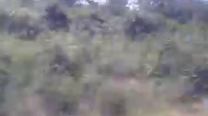 Чертково-Кантемировка, Меловое - теперь уже этого участка не существует