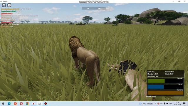 wild savannah Buff exploiter смотреть онлайн