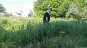 CHAMPION  мод :5640 . Первый пробный покос запущеной травы, 09.06.2023 г