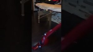 Беспроводной пылесос Electrolux Ergorapido_обзор техники