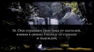Саид Дубаха Сура Саджда