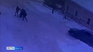 Собака напала на троих детей в Иркутске