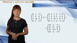 Матрицы. Линейная алгебра