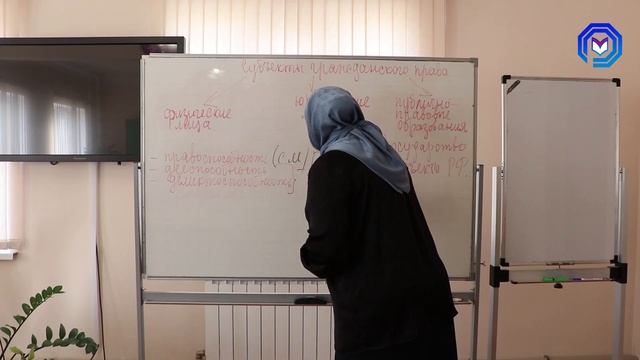 Урок №24. Субъекты гражданского права смотреть онлайн