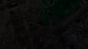Окучивание картофеля дисковыми окучниками с применением ходоуменьшителя