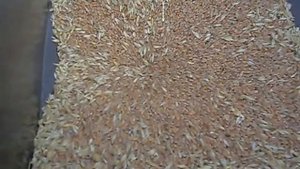 Зернодробилка самодельная горизонтального помола на 220 V