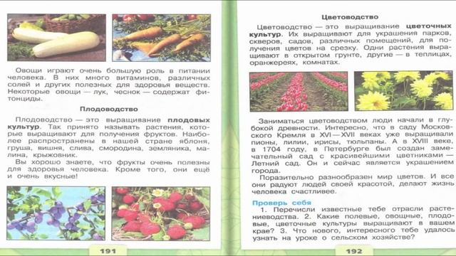 Растениеводство в нашем крае. Окружающий мир. 4 класс, 1 часть. Учебник А. Плешаков стр. 187-194