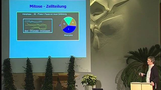 Dr. Küsel (3) - Fette und Eiweiße - Wieviel ist empfohlen? Arterienverkalkung und mehr смотреть онлайн