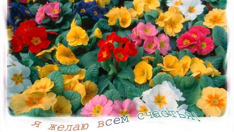 Молитва за мир во всем мире! Live: Сеанс пожелания счастья. Онлайн-ретрит «Благость» 06.06.2023