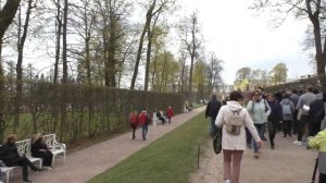 Плюсы жизни в Новом Петергофе | Питерское искусство, которое требует жертв!