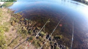 Ловля карася на дальний заброс.