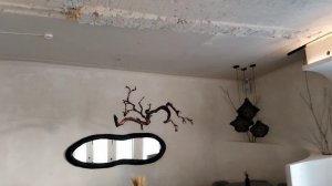 Ремонт кафе "Алсу"