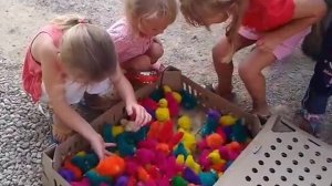 Разноцветные цыплята - фантастика!!!