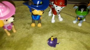 Акуленок . Я акула туруру. Щенячий патруль . спасатели  . История игрушек