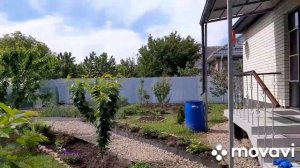 29-30.05.24. Посеяла томаты. Сбор огурцов. Змея. Самовар.