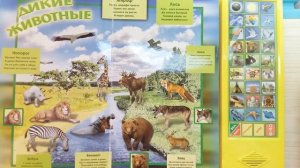 S+S Toys говорящая книжка "Мир вокруг нас" Talk'овые Игрушки