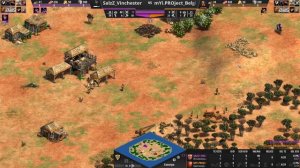 Самый быстрый вынос чемпиона от Винча Чемпиона из России Vinchester в Age of Empires II DE