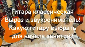 Гитара классическая EQ. Вырез и звукосниматель! Где купить гитару?| Мьюзик-Стор| #гитара #купить