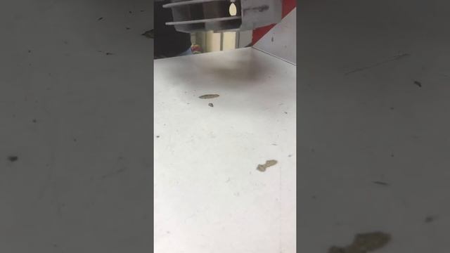 29 апреля 2022 г. смотреть онлайн