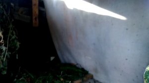 Как сушить травы кроликам. Моя сено сушка kroliki zhivotnovodstvo