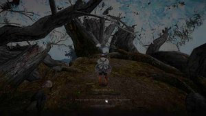 Black Desert - Квест Исцеляющий свет