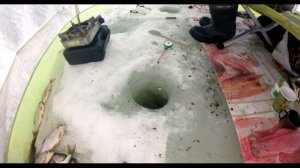 Отличный клев плотвы. На Рузском водохранилище. Рыбалка с ночевкой. Fishing roach.