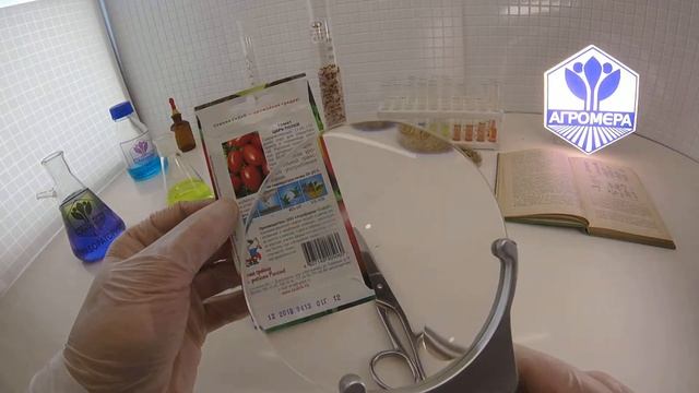 Томат Царь Полей. СеДеК смотреть онлайн