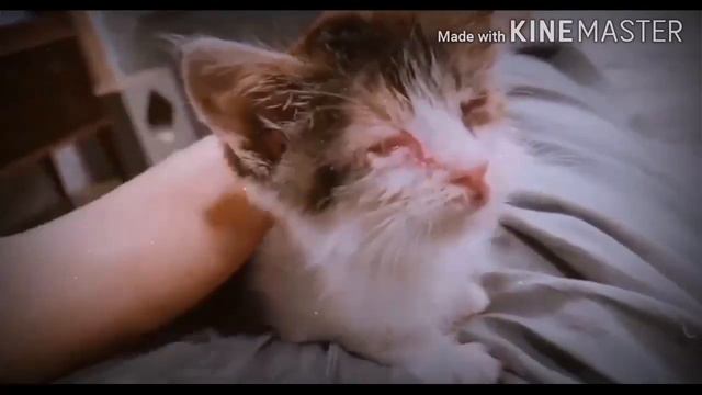Ты только, пожалуйста, дыши.