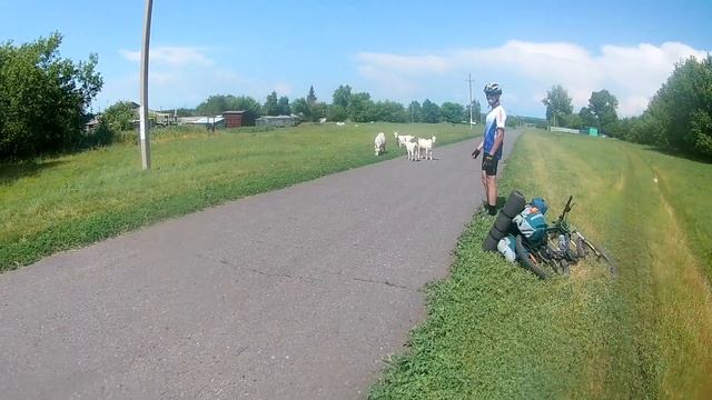 Велопоход в Новосёловку, Губкинский район