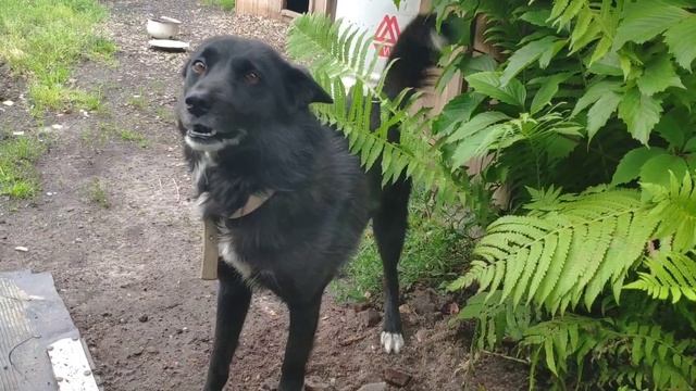 Как я отдыхаю от работы. смотреть онлайн