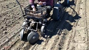 ПОСАДКА КАРТОФЕЛЯ МОТОБЛОКОМ В ПЕРВЫЙ РАЗ СЕЗОН 2020 | ВЕСЬ ПРОЦЕСС