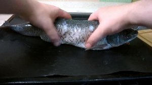 Мой рецепт белого амура под соусом.